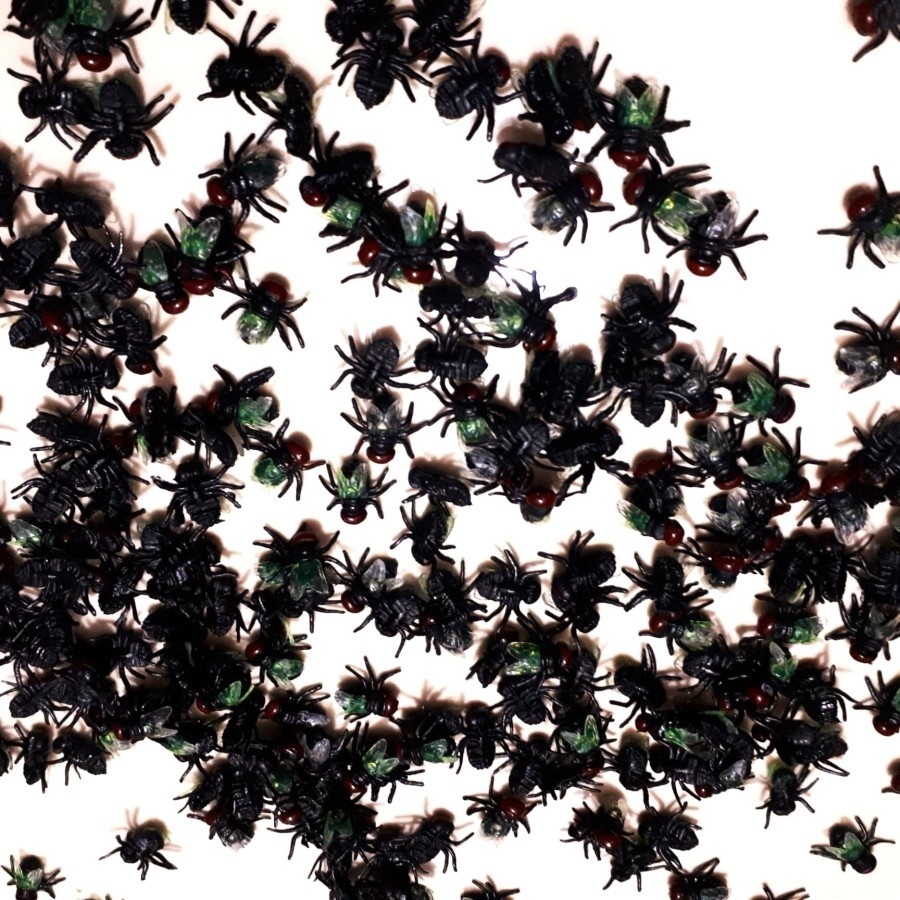 Mainan Lalat Karet Mainan Prank