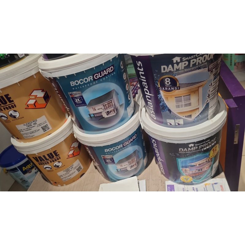 Asian paint Dampproof