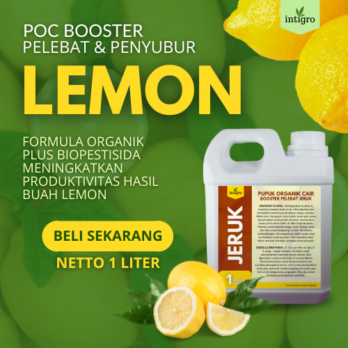 Pupuk Jeruk Lemon / Pupuk Booster Organik Pelebat Jeruk lemon / Pupuk Perangsang Buah Jeruk Agar Cep