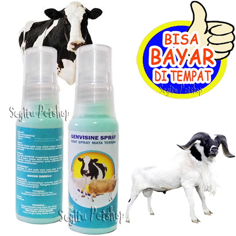 Obat Mata Sapi Kambing Sakit Bengkak Merah Iritasi Genvisine Spray