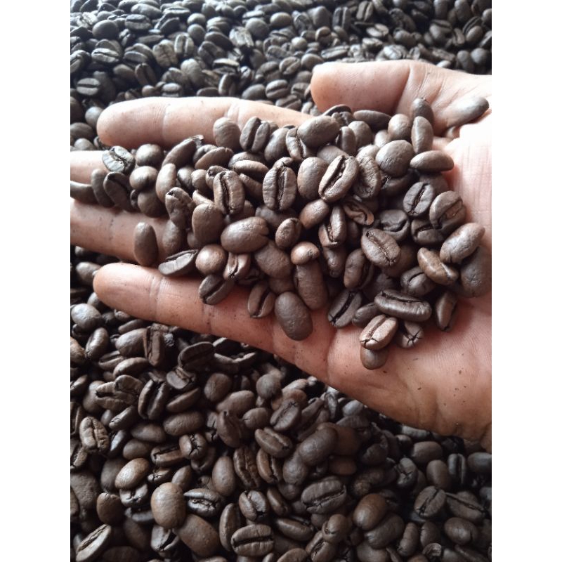 

biji kopi arabica premium speciality 1000 gram