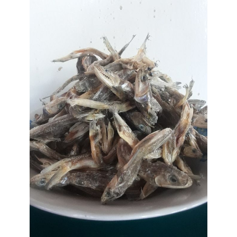 

ikan kering palu