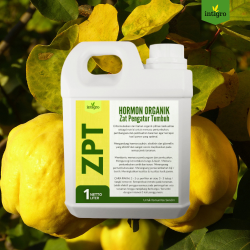 Shopritz Pupuk Zpt Pertumbuhan / Pupuk Zpt Pelebat Buah / Pupuk Hormon Buah Dan Bunga / Pupuk Zpt