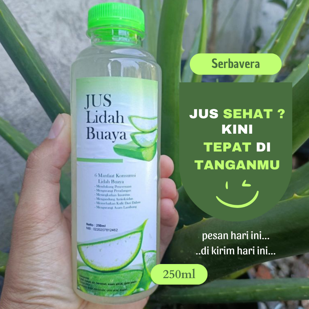 

JUS LIDAH BUAYA ORGANIK 250ml | Aoevera Juice @serbavera