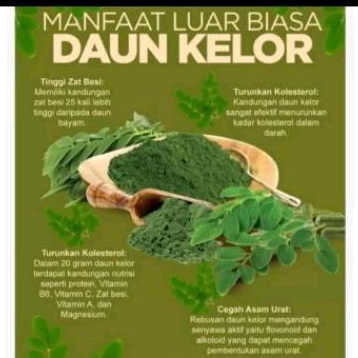 

daun kelor segar murah/ikat obat penyakit HIV jg