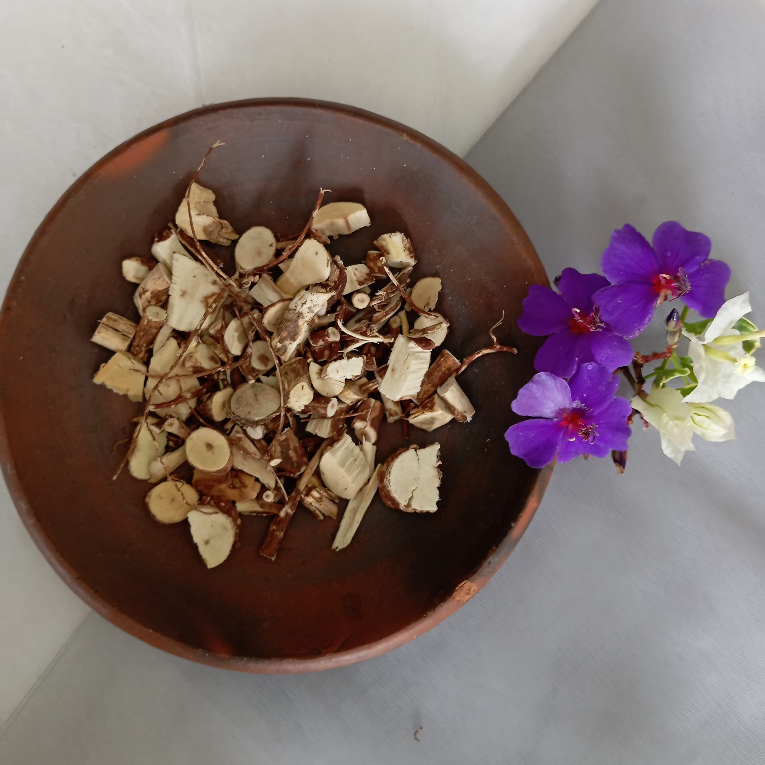 

Simplisa Akar Pepaya Jepang