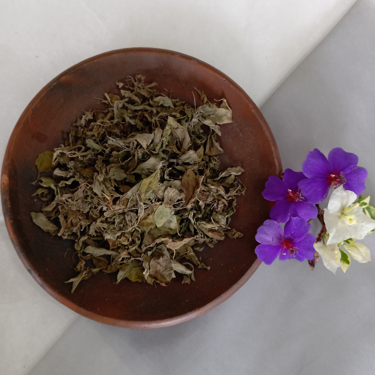 Simplisia Daun Kemangi Kering