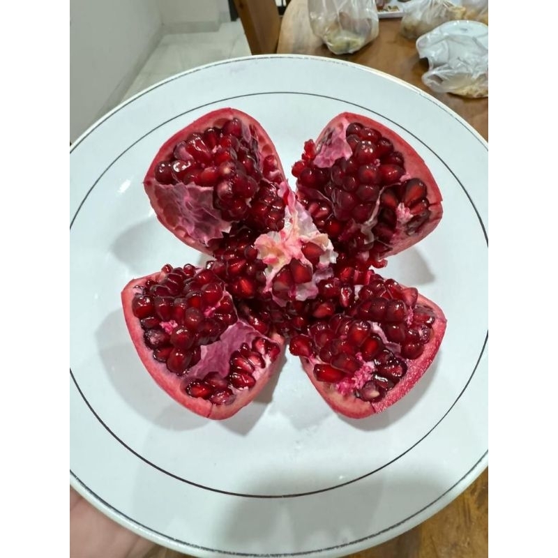 

Delima Tunisia PROMOOO