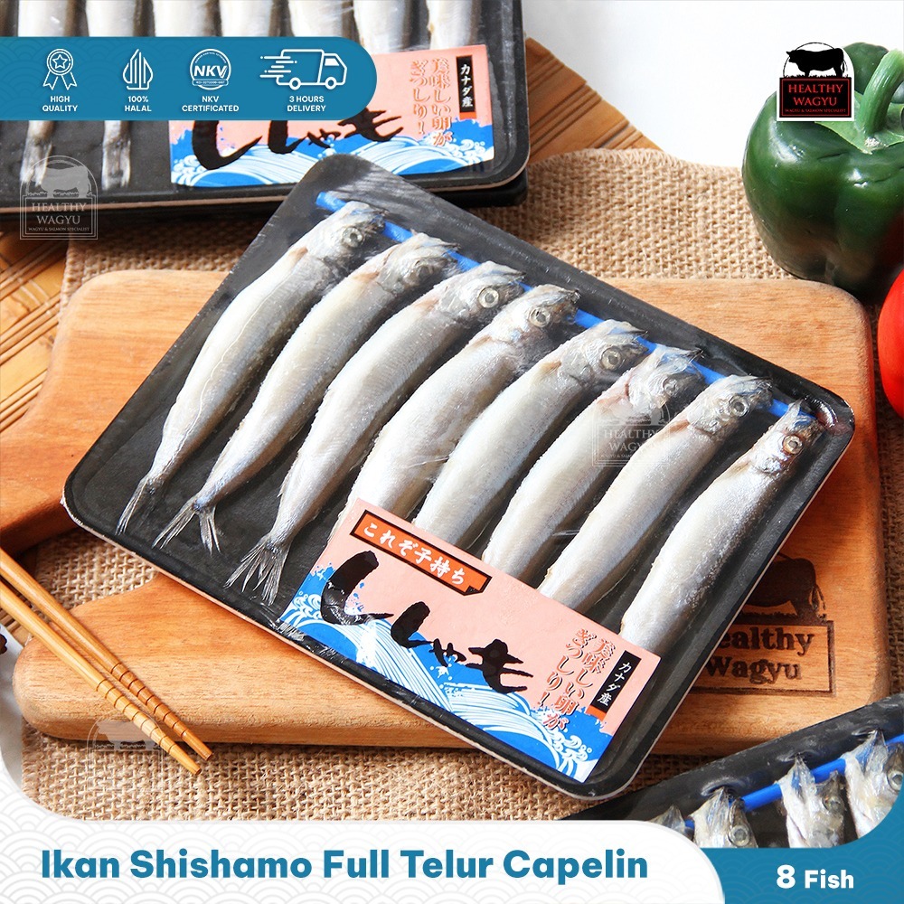 Ikan Shisamo Full Telur Capelin Fish Premium Quality Import 8 pcs Healthy Wagyu