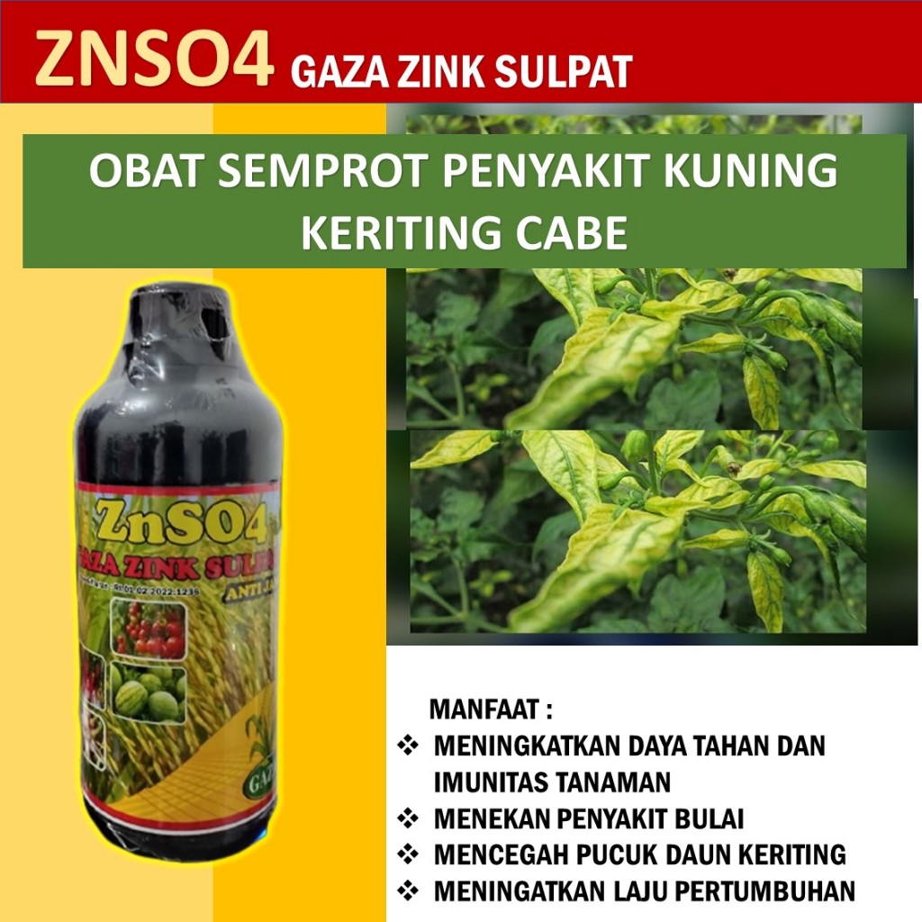 zns04 obat hama penyakit tanaman cabe - obat hama kuning keritig cabe - obat hama layu daun cabe ter