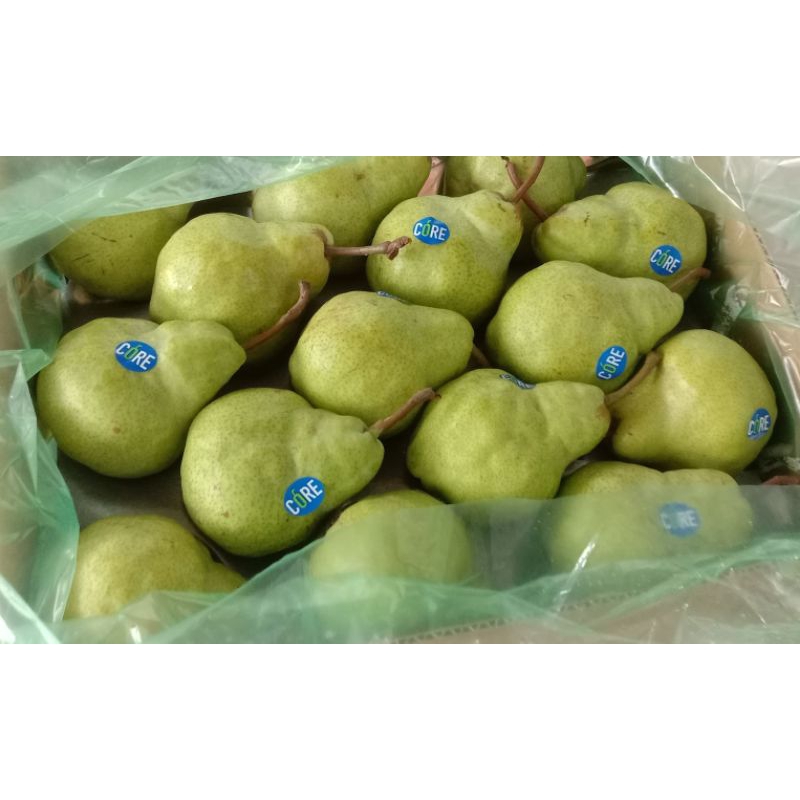 Buah Pir Jambu per biji