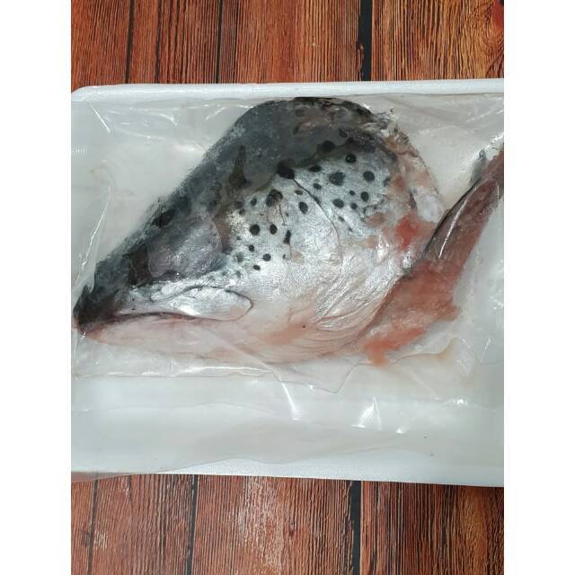 

Kepala Ikan Salmon