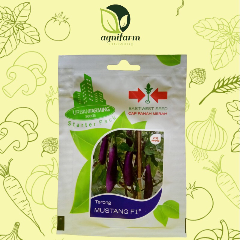 CAP PANAH MERAH Terong Mustang F1 / Benih Terong / Bibit Terong