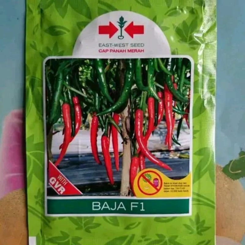 Benih Cabe Besar BAJA F1 Cap Panah merah