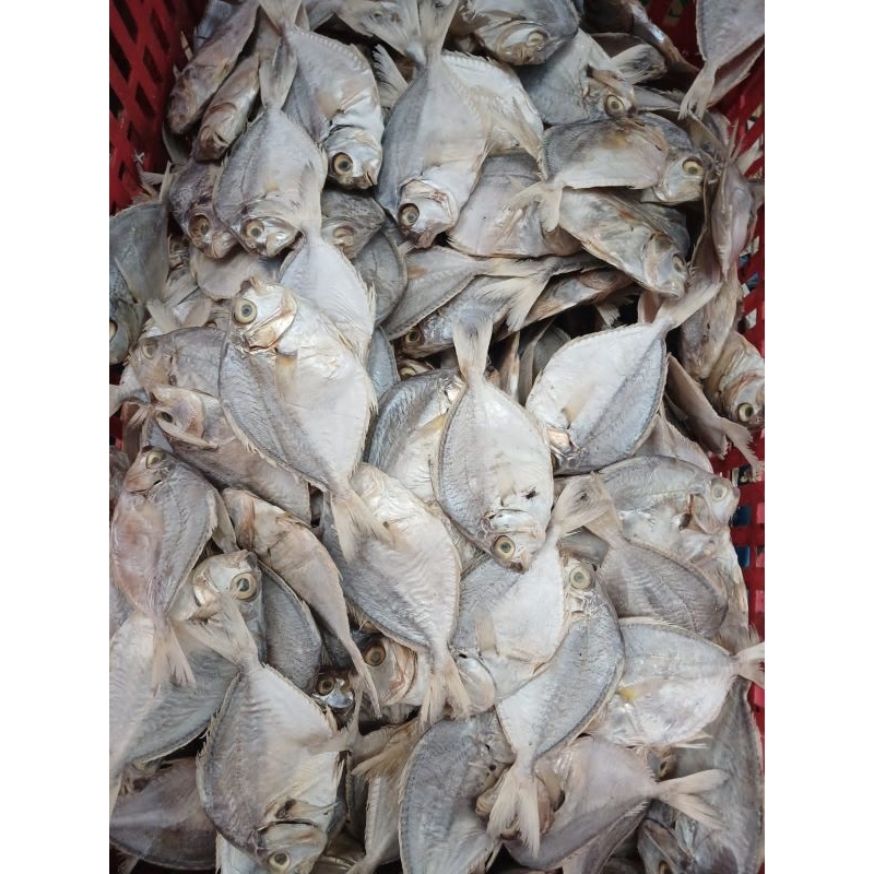 

IKAN ASIN PETEK 500 GRAM KUALITAS TERBAIK