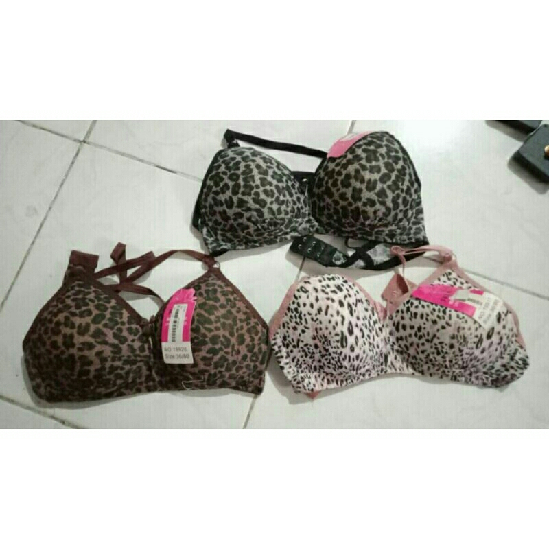 bra dewasa motif macan tanpa kawat