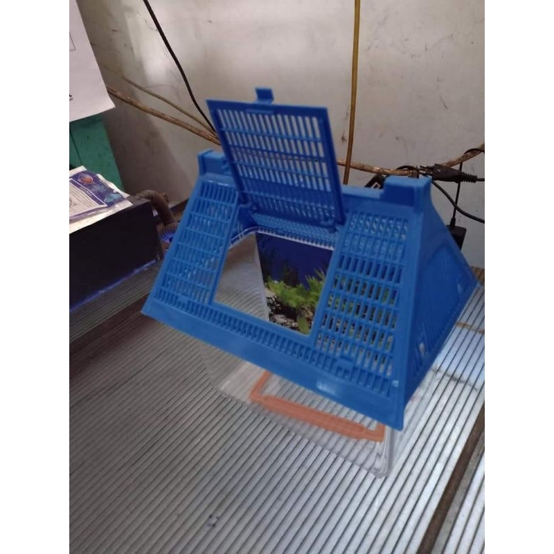 Ay00 Kandang Kura Kura PETHOME Kura Kura Aquarium Kura Kura