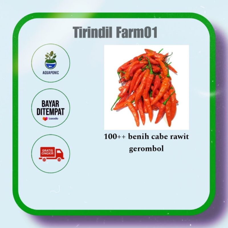100++ benih cabe rawit gerombol / benih cabe rawit unggul,  bibit sayuran cabe rawit