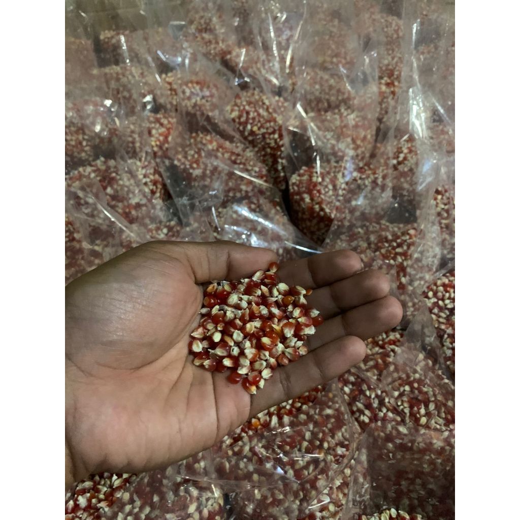 PAKAN BURUNG MERPATI JAGUNG MERAH SUPER BIJI JAGUNG MERAH PAKAN BURUNG MERPATI PERKUTUT PREMIUM BERA