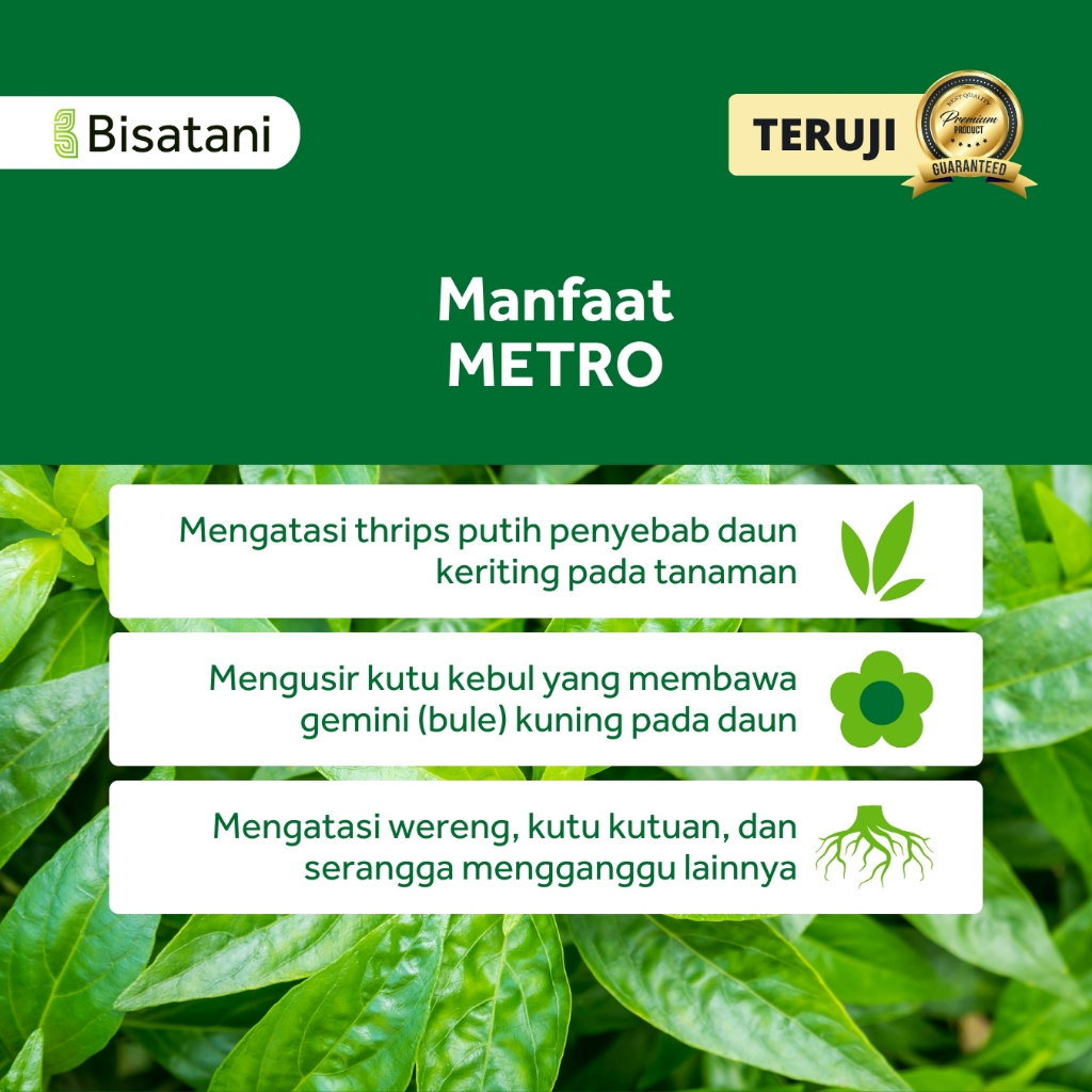 Insektisida Pestisida Kriting Keriting Daun Tanaman Cabai Cabe Kemasan 250ml