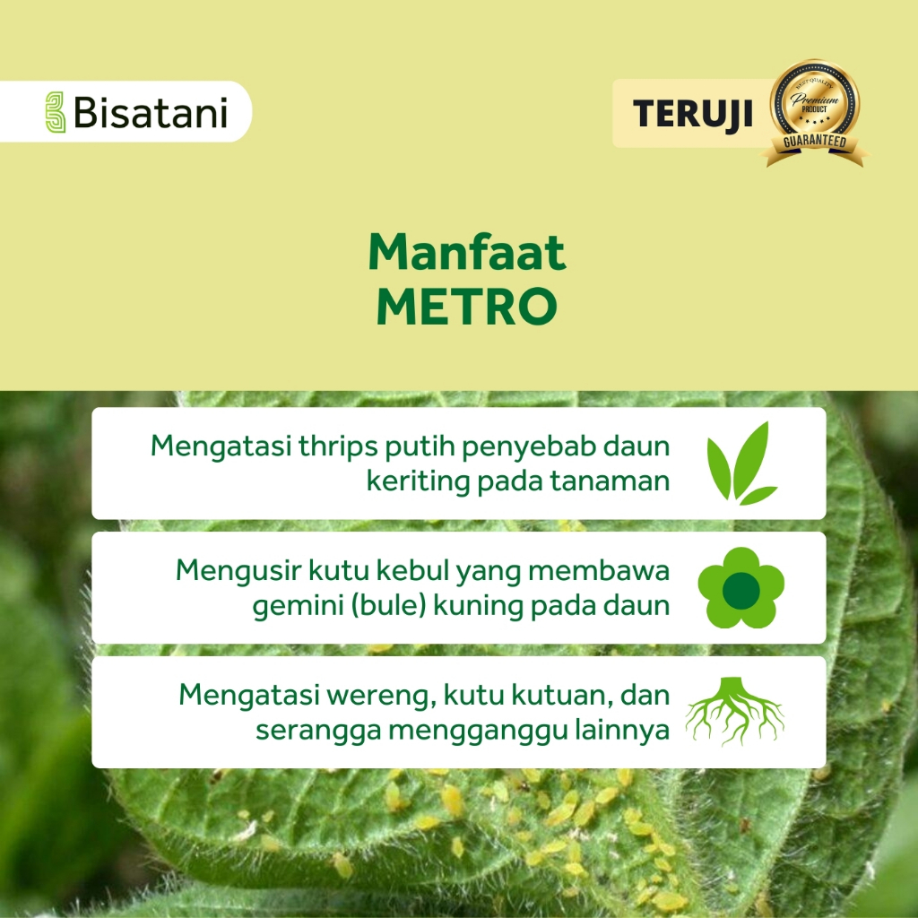 Obat Pencegah Keriting Daun/ Obat Tanaman Cabai, Padi/ Obat Insektisida Pestisida untuk Cabai Padi