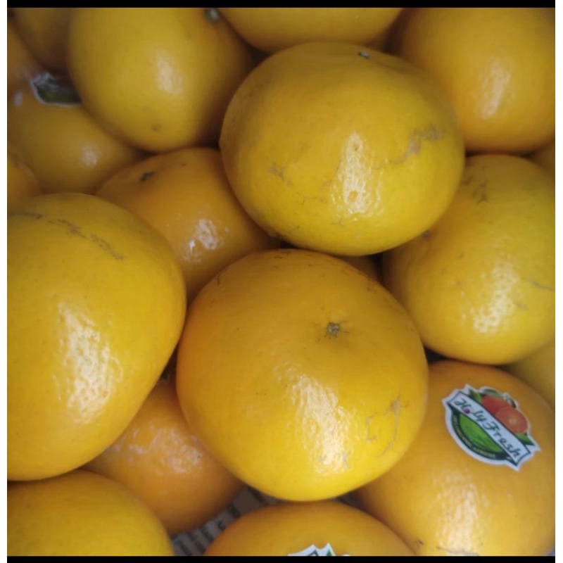 

Jeruk Wokam/Wogan Manis 1kg