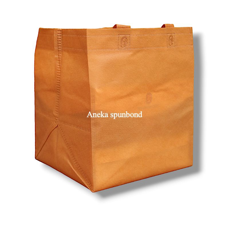 

RB Isi 12 pcs Tas Goodiebag Spunbond Box Premium Model Mcd 22x22