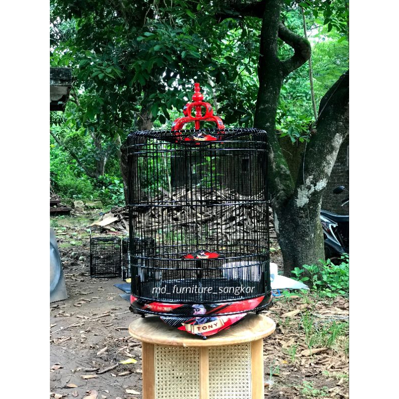 sangkar murai decal sangkar Murai batu kandang burung sangkar murai no 2 Sangkar Murai kayu jati