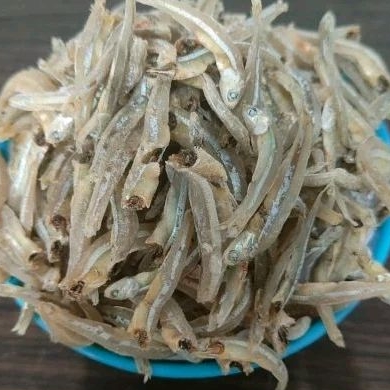 

Teri Jengki