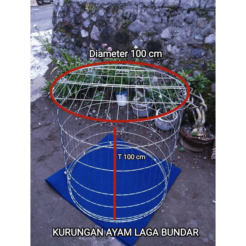 Kurungan songkok ayam bundar diameter 100 cm