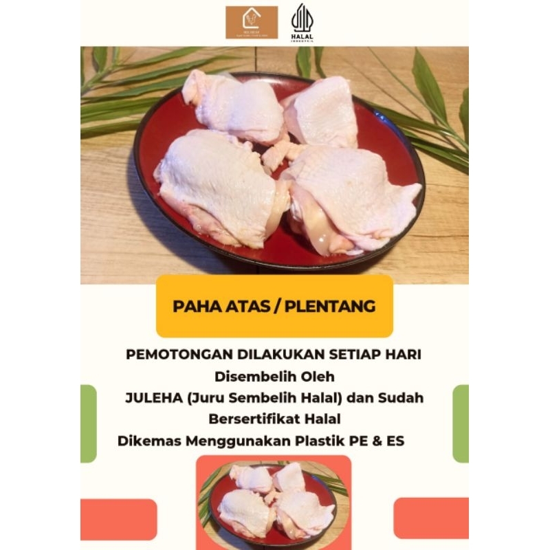 

Paha Ayam Atas / Plentang - Paha Atas Ayam Segar Termurah