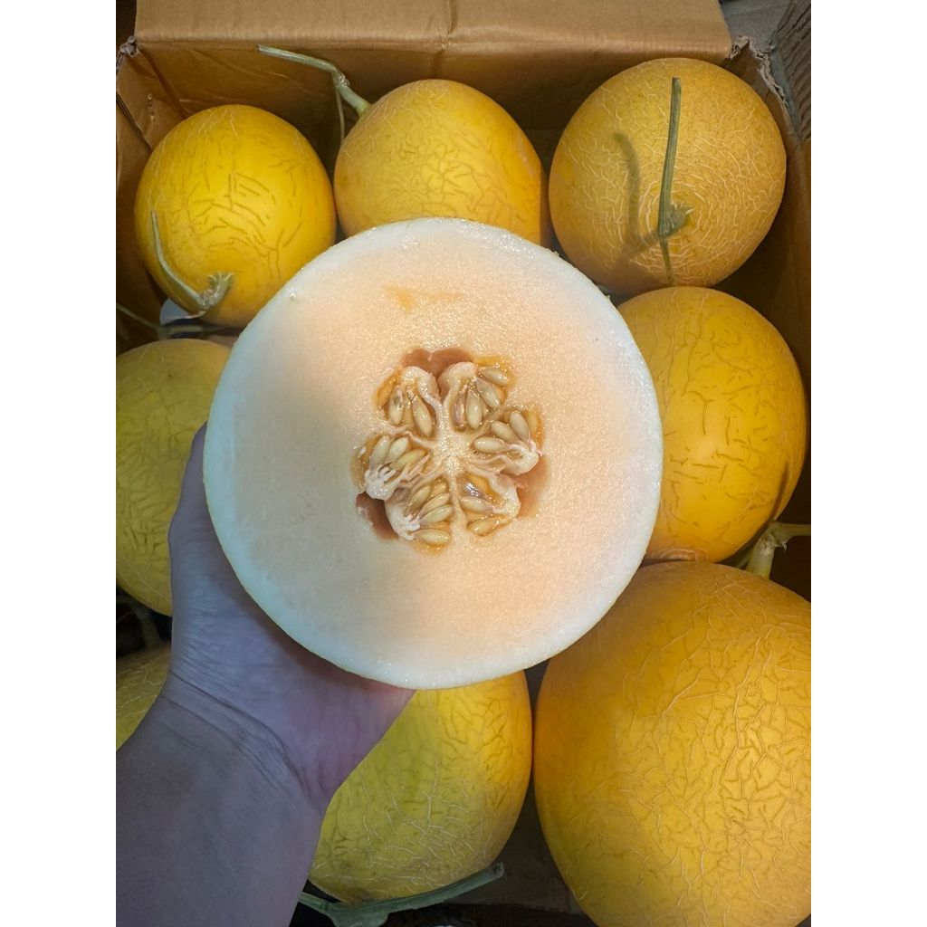 

MELON ORANGE LAVENDER. MELON GARING MANIS FRESH. ENAK FRESH. PREMIUM QUALITY