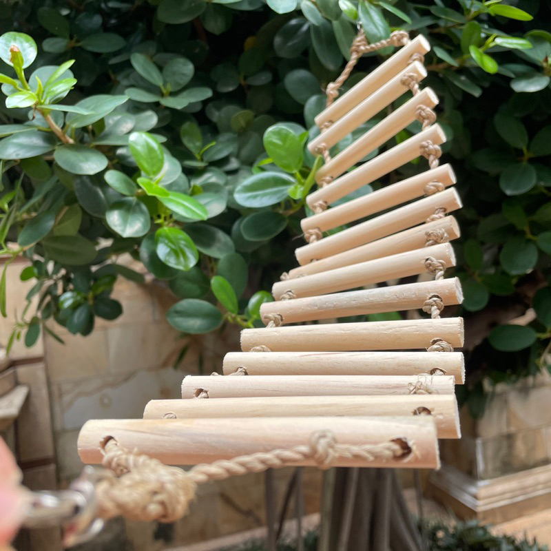 Jembatan Kayu Interaksi Panjatan Sugar Glider Dekorasi Kandang