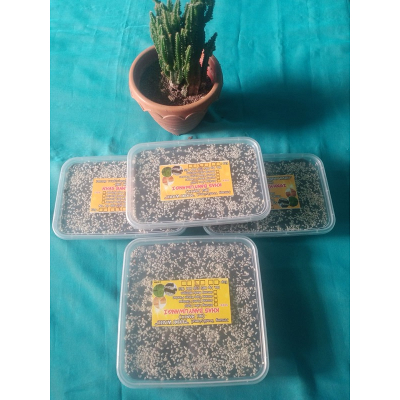 

Jenang hitam wijen khas banyuwangi