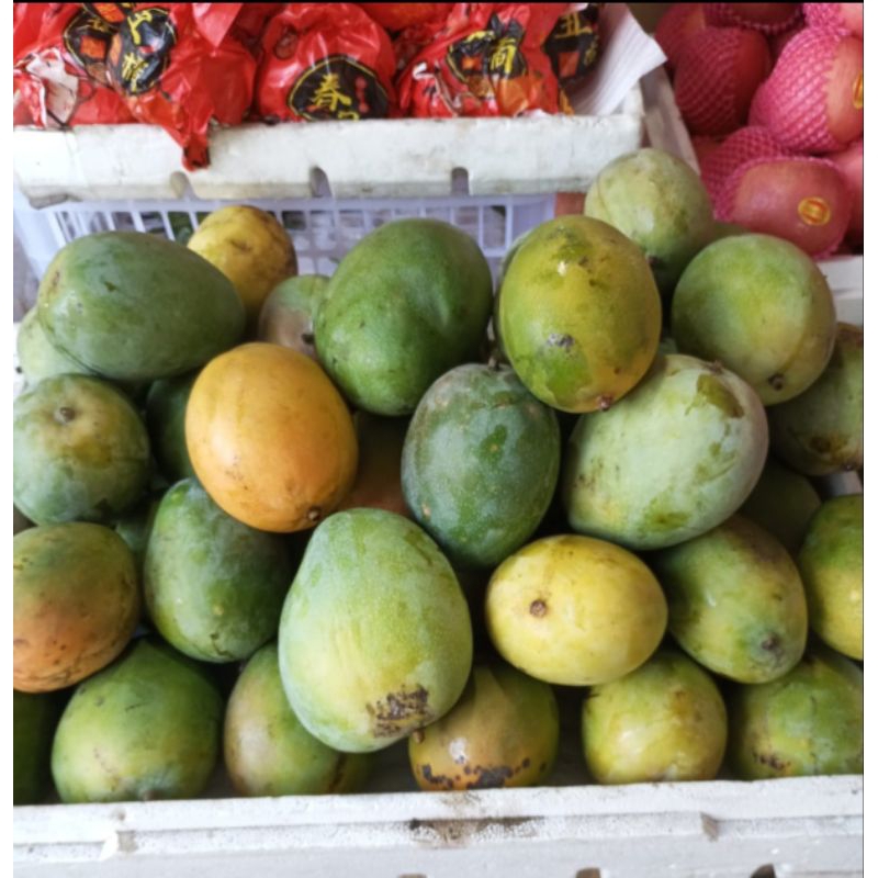 

BSM | TERMURAH Mangga Erwin 500gr - 1kg / Mangga Erwin Manis / Mangga Manis