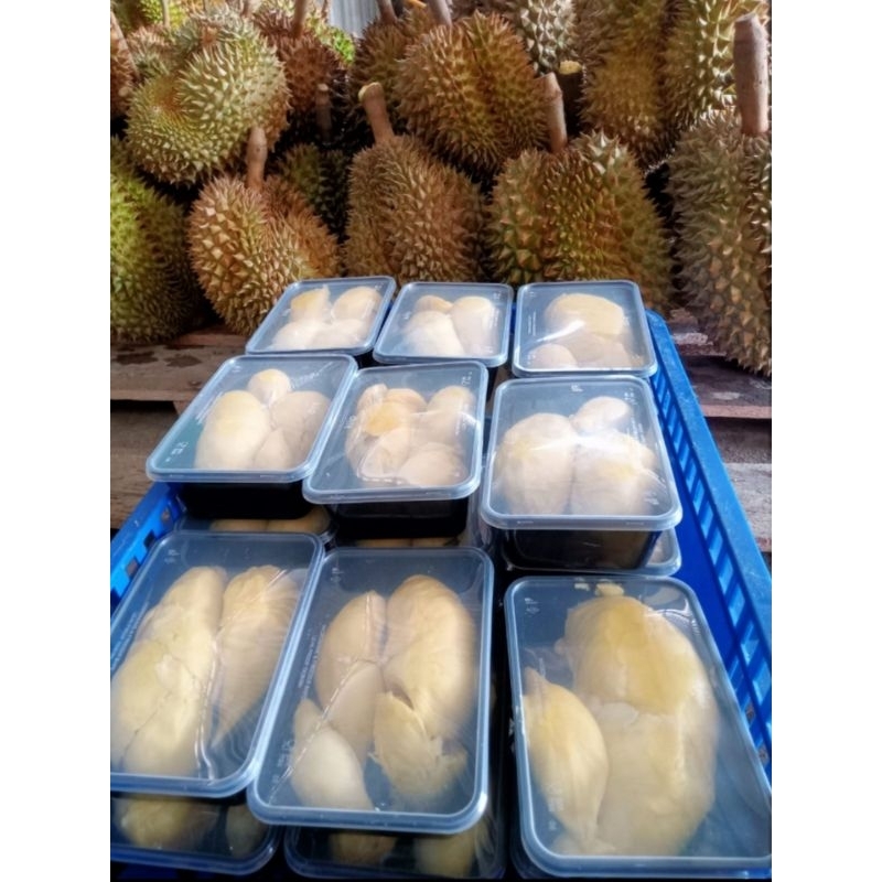 

Durian Montong kupas fresh