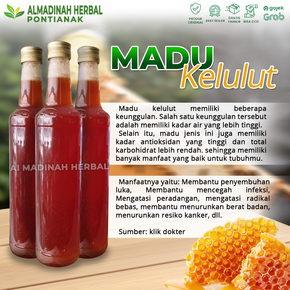 

Madu Kelulut Asli Kalimantan 500gr | Madu Trigona itama