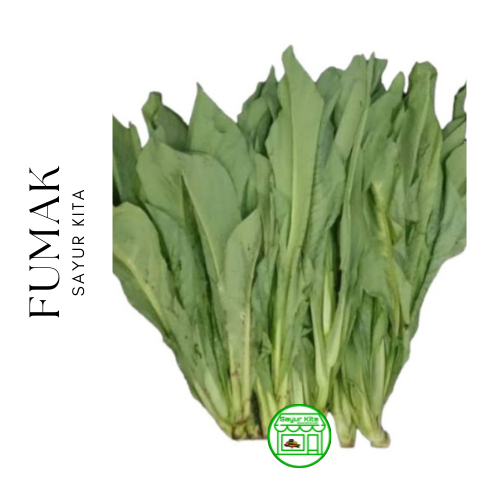 

Sayur Fumak 500 gram