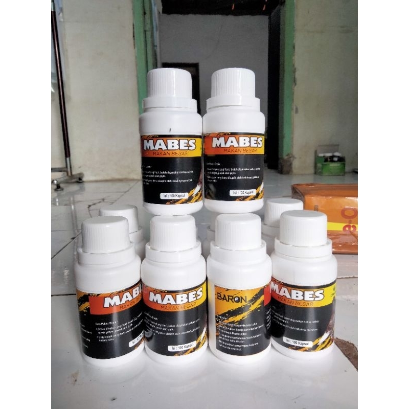 Mabes makan besar baron vitamin merpati suplemen merpati kolongan