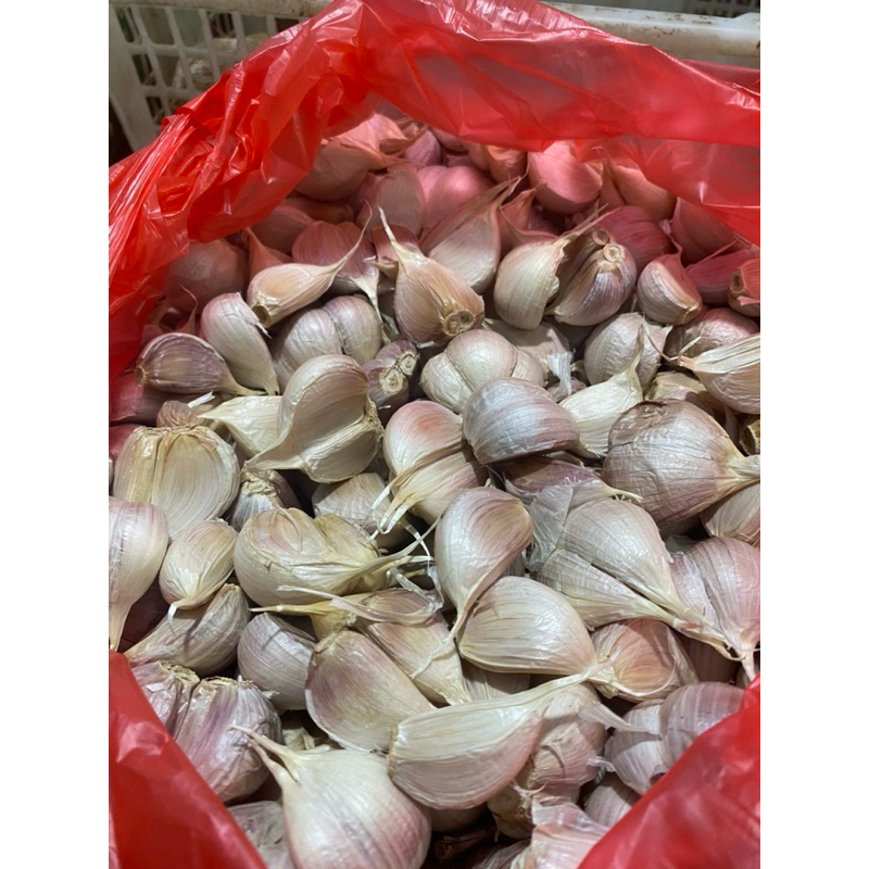 

Bawang putih Cating 1/4