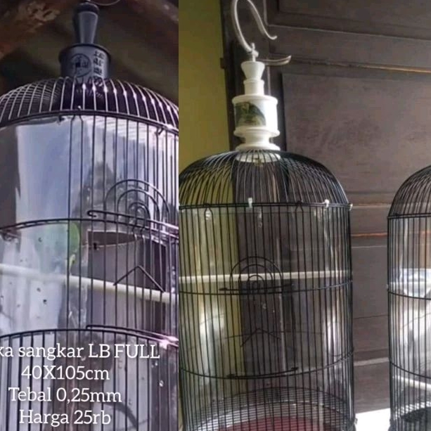 mika samping keliling sangkar lovebird kapsul terapi anti ruji