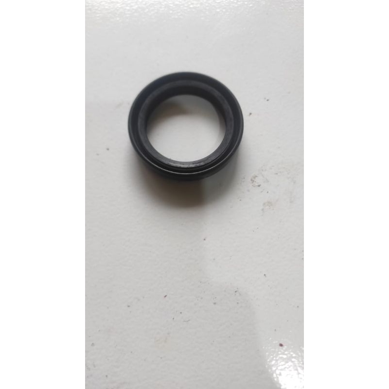 Seal Shock Depan up side down TVS Apache 310