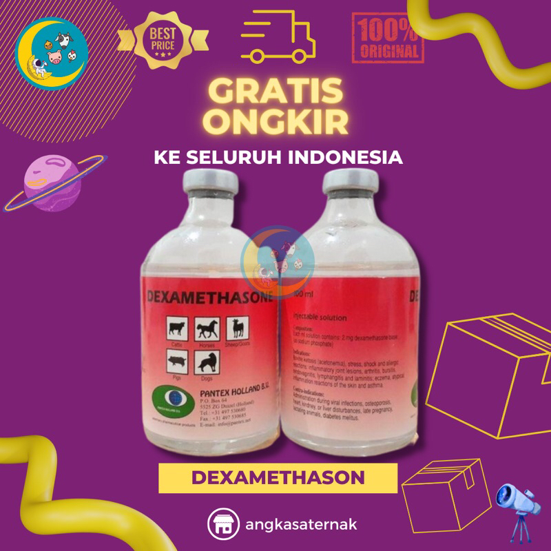 DEXAMETHASONE 100 ML PANTEX  HOLLAND - DEXAMETHASON PANTEX ANTI RADANG UNTUK SAPI