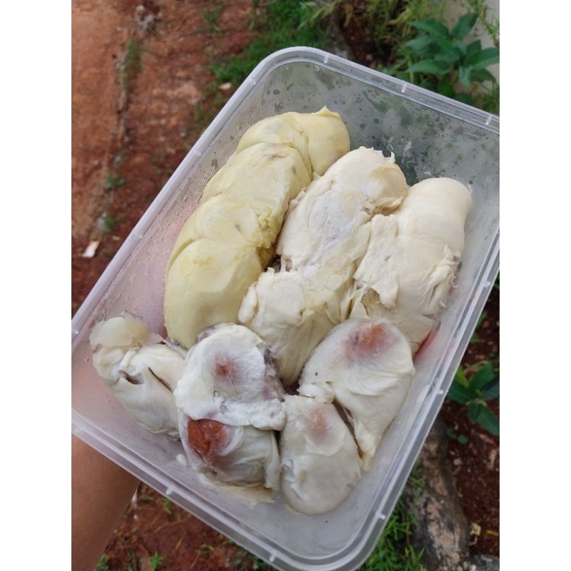 

Durian medan 500 gr