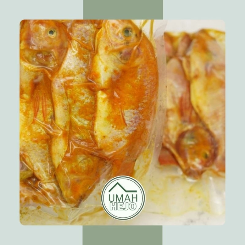 

IKAN NILA BUMBU KUNING SIAP GORENG / BAKAR - 500GR