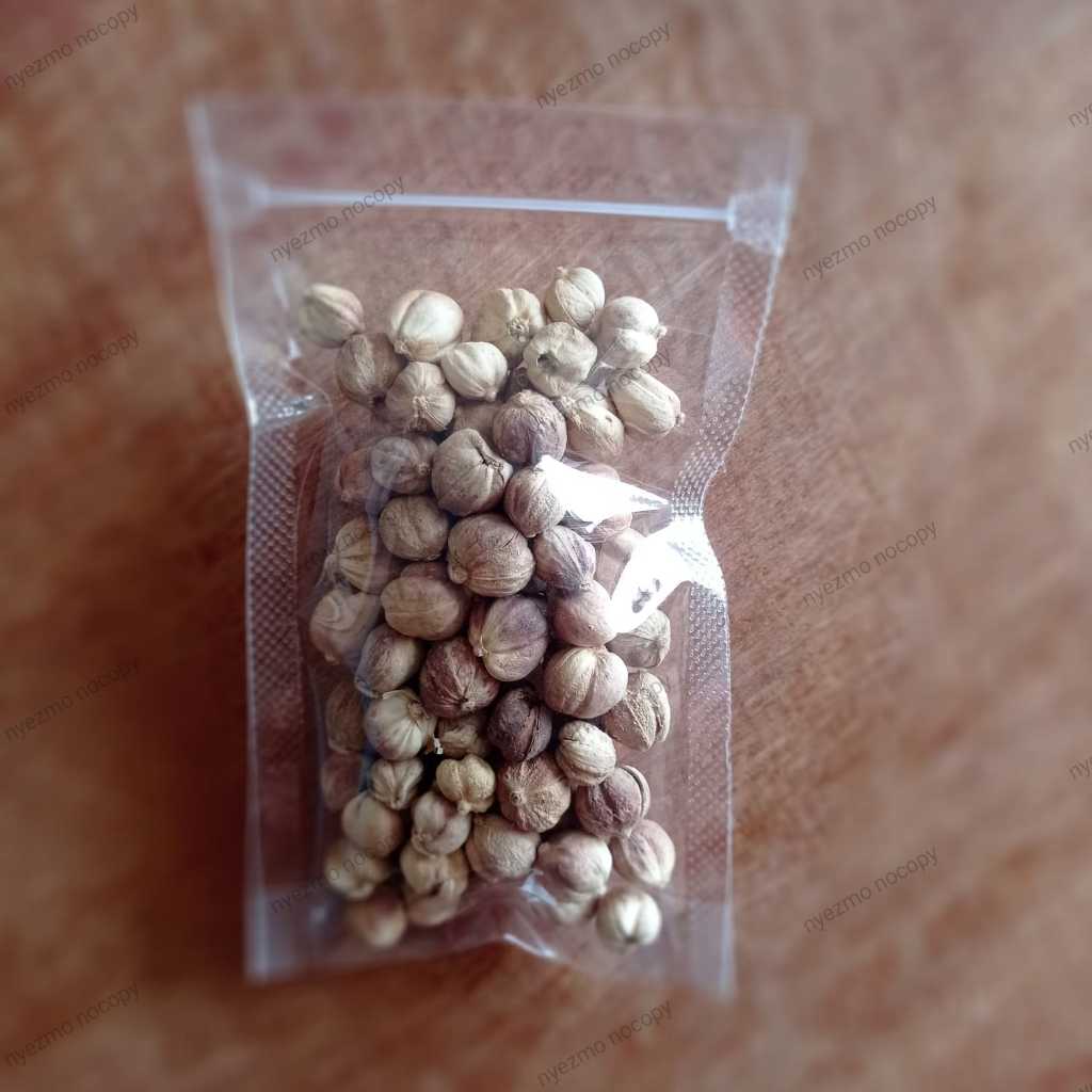 

100gr Kapulaga Jawa Tanpa Pemutih/ True Cardamom / Rempah Premium