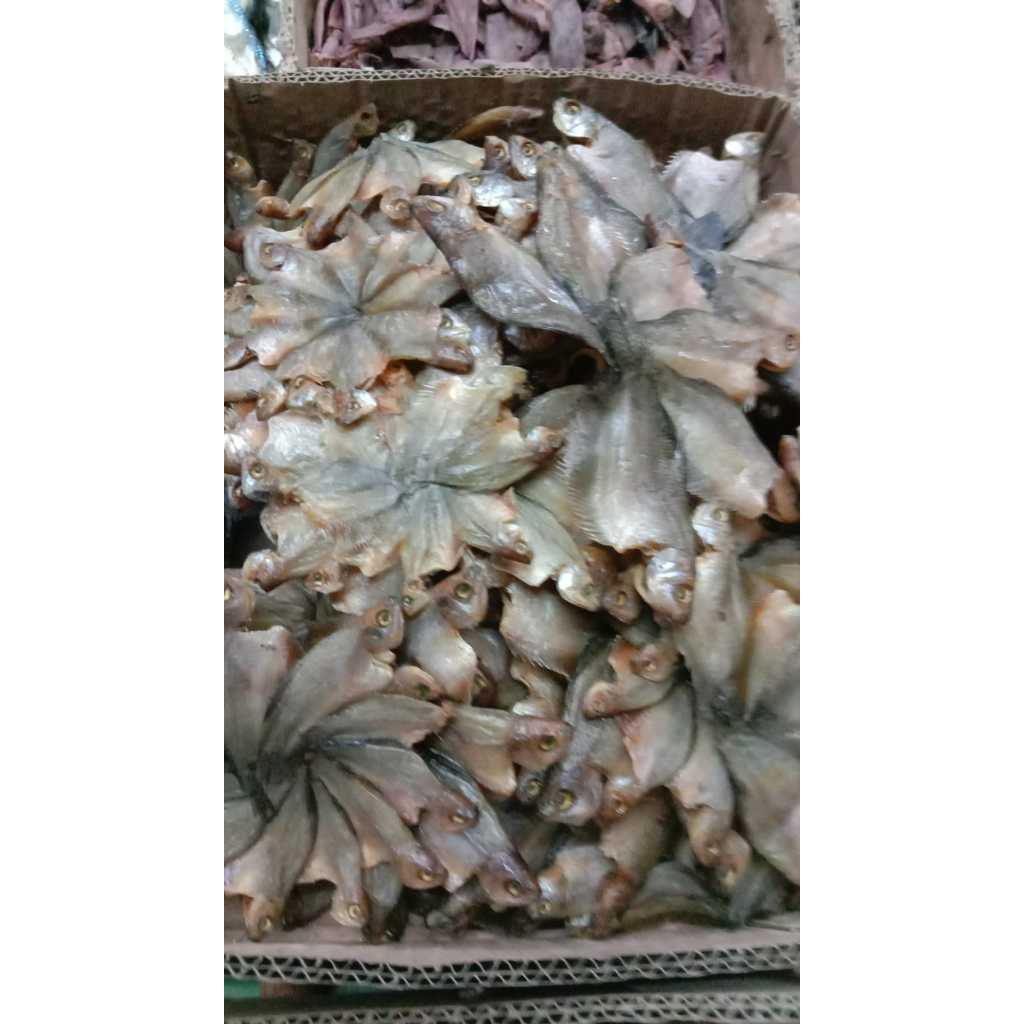 

Ikan Sepat Kecil - 500gram