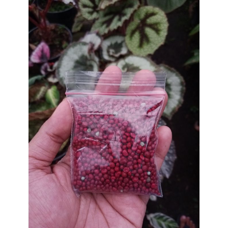 pupuk dekastar merah 50 gr