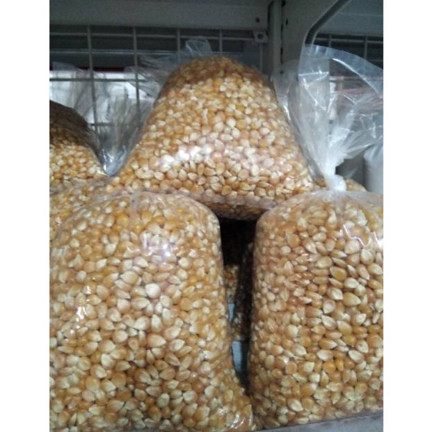 

KODE Y33A JAGUNG POPCORN KWALITAS SUPER REPACK 1KG