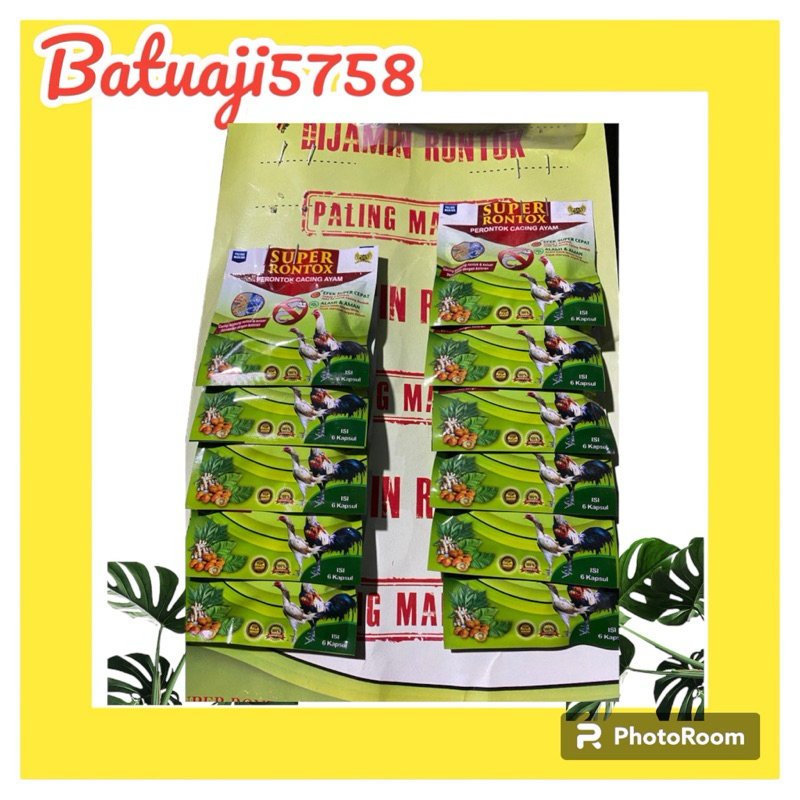 Super Rontok Ayam Aduan